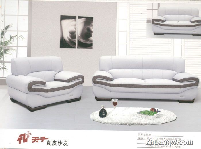 天子沙發家具圖片(九) 匠心工藝，盡顯客廳典雅風范
